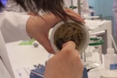 20160531_101939klein