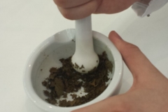 20160531_102427klein