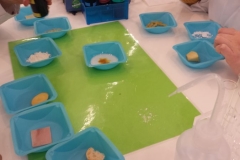 20160531_104357klein