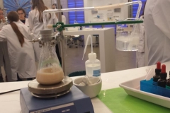 20160531_131022klein