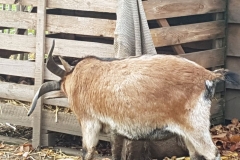 image030