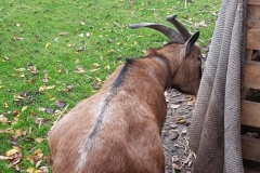 image020
