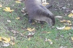 image041