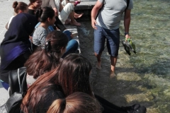 IMG-20160928-WA0013
