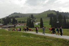 IMG-20160928-WA0052