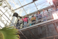 IMG_7536