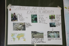 Uni Feldforschung003