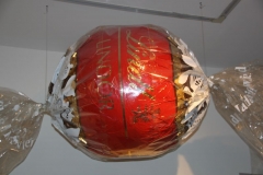 Uni Feldforschung031