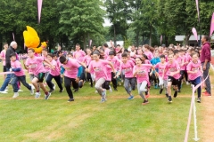 gorunforfun17_089